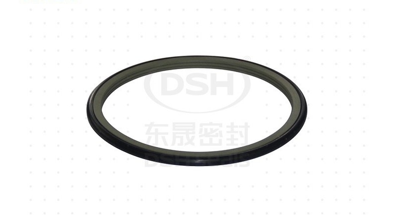 東晟密封格萊圈/斯特封可根據(jù)客戶(hù)要求定制