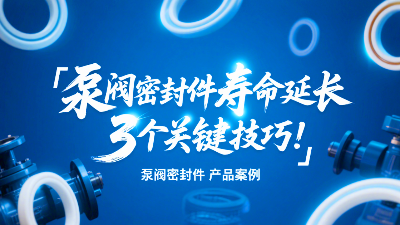 泵閥密封圈壽命延長的3個(gè)關(guān)鍵技巧！?