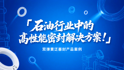 ?雙彈簧泛塞封產(chǎn)品案例 ? 石油行業(yè)中的高性能密封解決方案！?