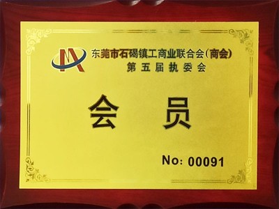 東晟密封-東莞市石碣鎮(zhèn)工商業(yè)聯(lián)合會第五屆執(zhí)委會（會員）