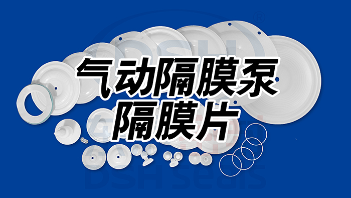 氣動(dòng)隔膜泵隔<i style='color:red'>膜片密封圈</i>的更換方法