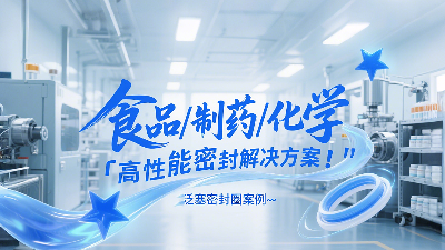 泛塞密封圈：食品、制藥和化學工業(yè)中的高性能密封解決方案！?