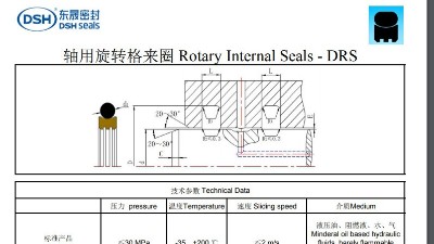 軸用旋轉格來圈規(guī)格尺寸表DRS