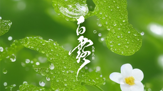 迎接<i style='color:red'>白露</i>：秋季的第一抹清涼！