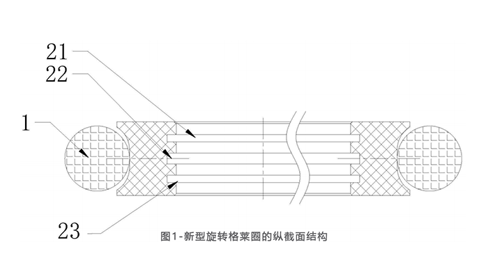 圖1新型旋轉(zhuǎn)格萊圈的縱截面結構及