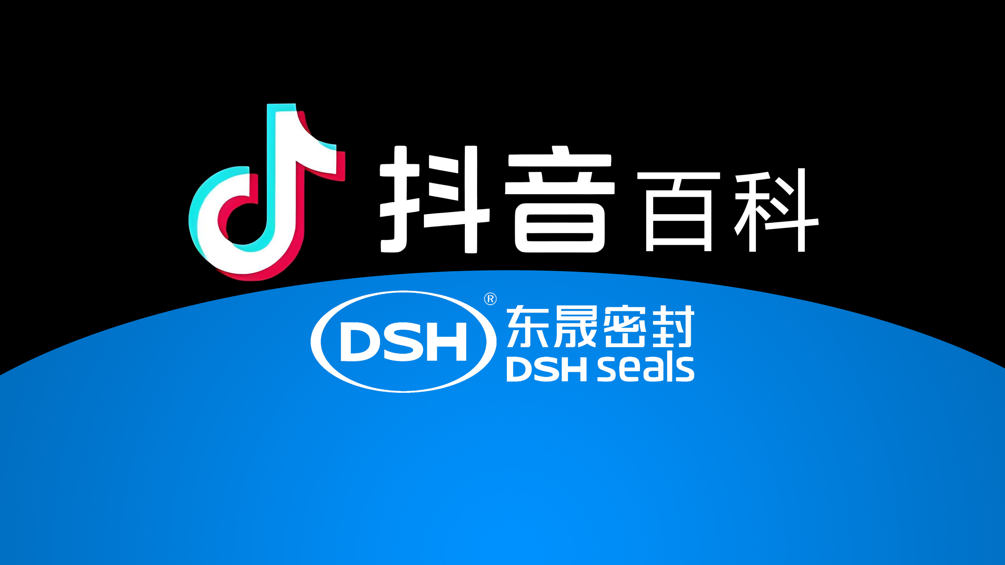 權(quán)威解讀，東晟密封件官方百科閃耀<i style='color:red'>抖音</i>！