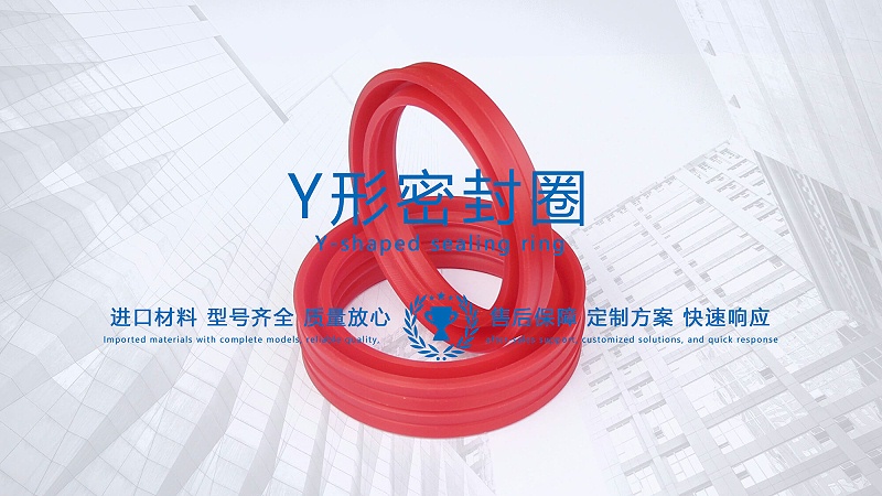 y型密封圈（又Y形密封圈，Y形圈，Y型圖或唇形密封圈，密封件油封膜片） (3)