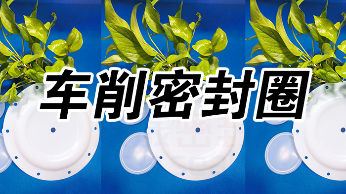 2車削密封圈，氣動隔膜泵膜片密封件