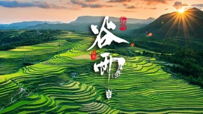 谷雨：春天的結(jié)束，生機(jī)的開始！