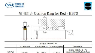 新版軸用組合密封圈規(guī)格尺寸表1