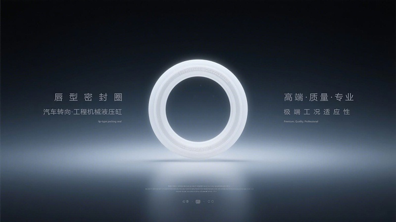 唇型密封圈3